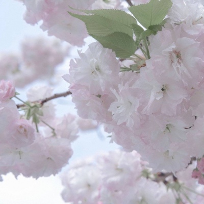 Furry插画创意构思兽圈群